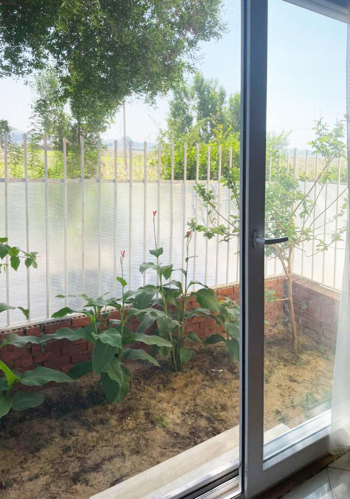מלון לוקסור Karima House מראה חיצוני תמונה