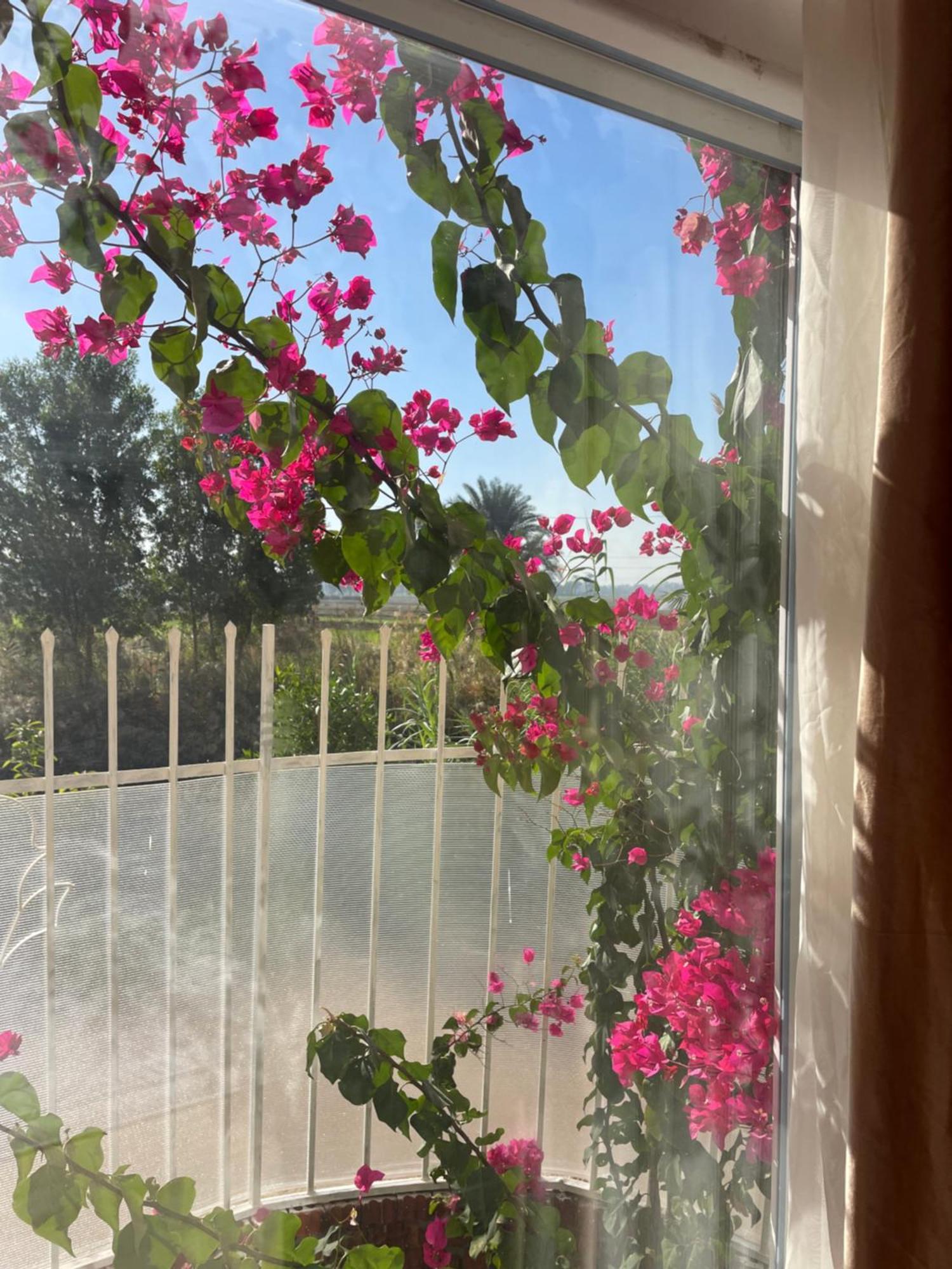 מלון לוקסור Karima House מראה חיצוני תמונה